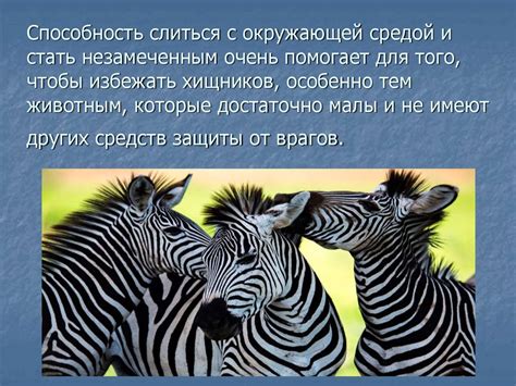 Адаптация к изменениям: как человек и животное приспосабливаются к новым условиям?