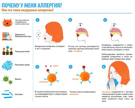 Аллергии и респираторные инфекции: основные факторы, вызывающие заложенность носа и першение в горле