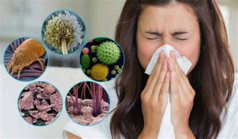 Аллергия на растения, пыль или животные