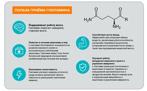 Анаболический эффект глютамина