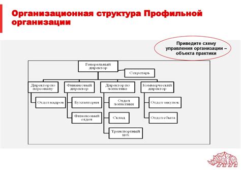 Анализ и документирование отобранных организационных операций