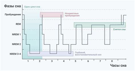 Анализ сна и его связь с индивидуальностью