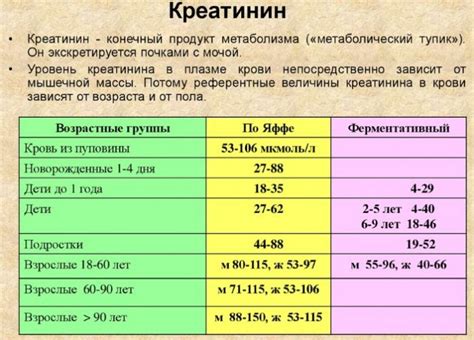 Анализ содержания вещества креатинину в крови и его нормативы у представителей мужского пола