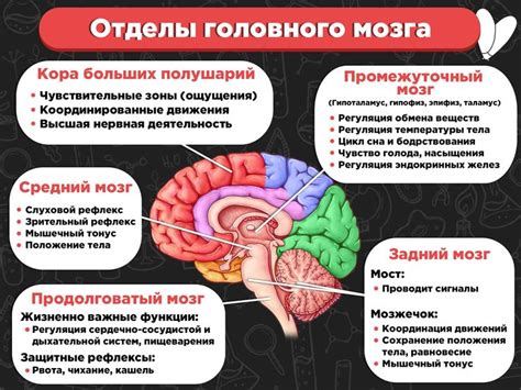 Аномалия развития мозга, приводящая к нарушению физических и умственных функций