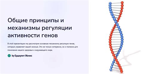 АрНК: механизмы контроля активности генов в организме