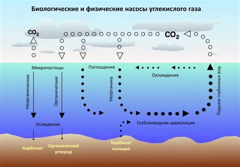 Атмосферное формирование углекислого газа