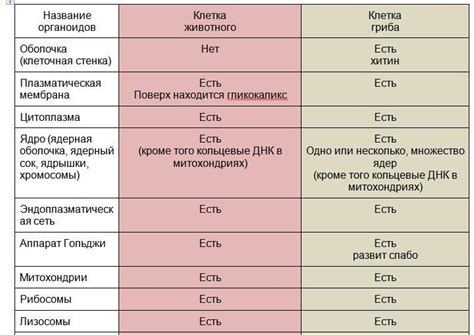 Атрибутивный и достигаемый статус: различия и сходства