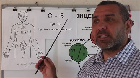 Бактериальное отравление: какие микроорганизмы могут вызывать тошноту и рвоту