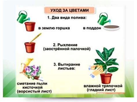 Безопасные способы ухода за растениями на собственной территории