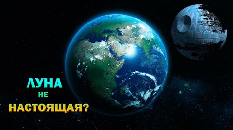 Безудержное восхищение: феноменальные сведения о необъяснимых возможностях пауков