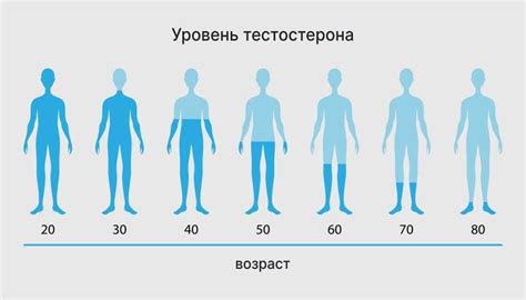 Биологическая важность анализа свободных андрогенов у мужчин