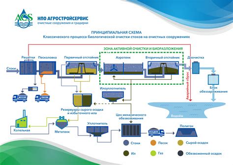 Биологическая фильтрация: роль живых организмов в очистке воды