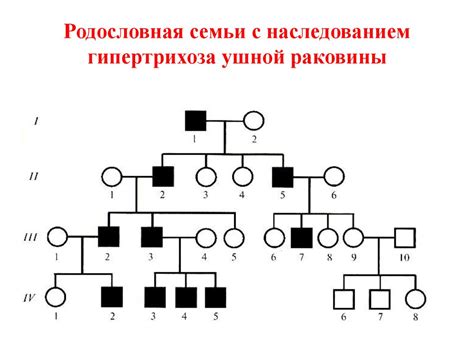 Биологический аспект: анализ родственных генетических характеристик