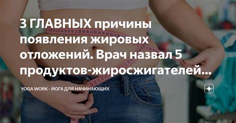 Благотворное воздействие умеренного потребления жировых продуктов на работу ЖКТ