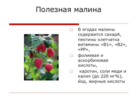 Богатство полезными элементами: витамины и минералы в ягодах кустовой малины