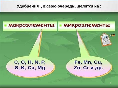 Богатый источник полезных питательных элементов