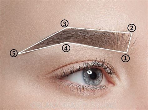 Брови как основа визуального обрамления лица: важность правильного контура