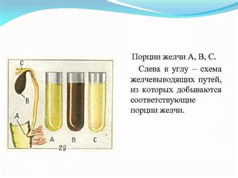 Важность антиоксидантов при снижении уровня пигмента желчи в организме