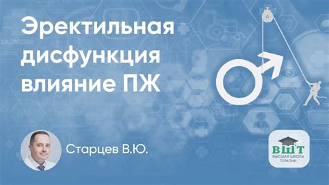 Важность балансирования гормональных процессов при борьбе с онкологическими заболеваниями предстательной железы