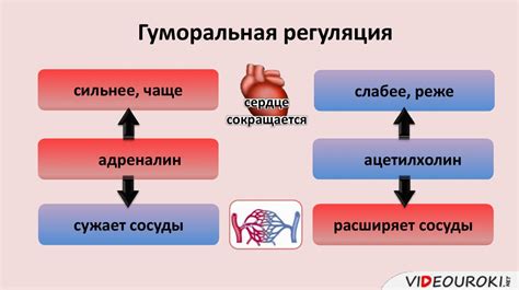 Важность верхнего давления в оценке работы сердца и сосудов