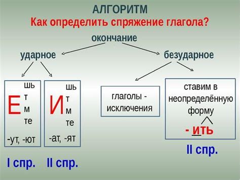 Важность знания спряжения глагола: почему это так необходимо?