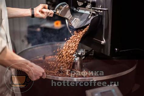 Важность измельчения кофейных зерен непосредственно перед приготовлением