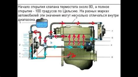 Важность корректного подбора охлаждающей жидкости для автомобиля