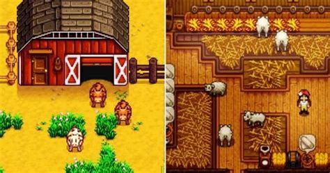 Важность пугал в привлечении редких и экзотических животных в игре Stardew Valley