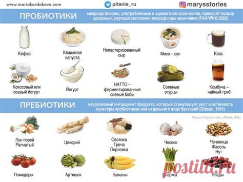 Важность регулярного употребления продуктов, богатых пробиотиками