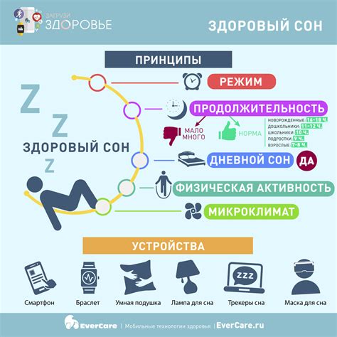 Важность создания комфортной обстановки для здорового сна вашего питомца