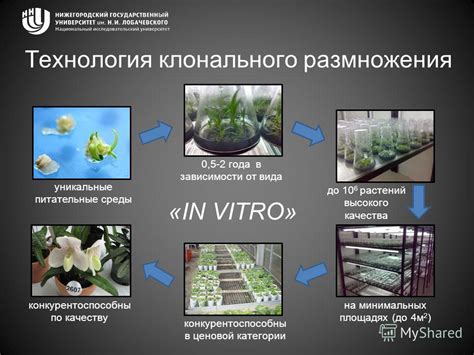 Важность сохранения редких и уникальных видов растений