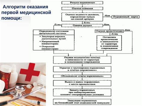 Важные этапы первичной медицинской помощи