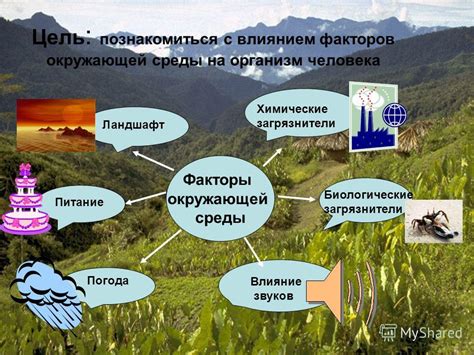 Взаимодействие органических соединений с окружающей средой: влияние на разнообразие