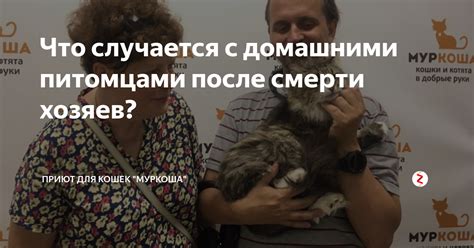 Взаимодействие с питомцами для улучшения психологического состояния хозяев