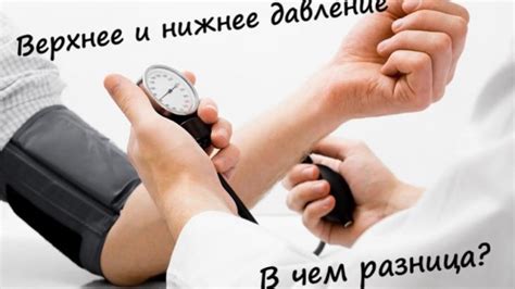 Взаимосвязь между верхним и нижним показателями давления: важность их влияния на организм