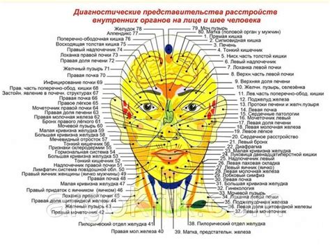 Взаимосвязь между питательным рационом и состоянием кожи на лице