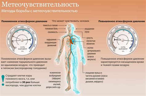 Виды раздражителей и их влияние на организм