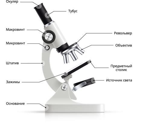 Визуализация и фиксация изображений с использованием светового микроскопа