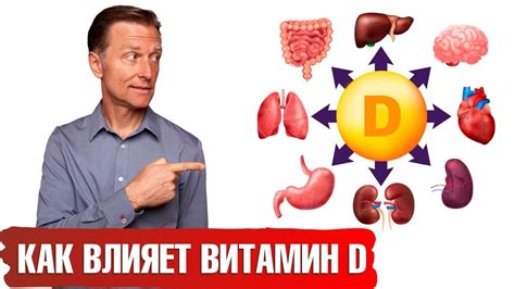 Влияние витамина D на работу иммунной системы