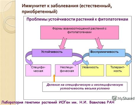 Влияние внешних факторов на рассыпание содержимого посуды или емкости