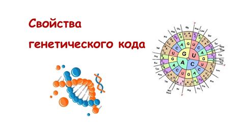 Влияние генетического кода на развитие человека