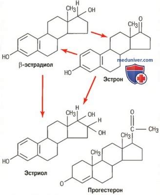 Влияние генетической предрасположенности и эстрогенов на образование "апельсиновой корки"