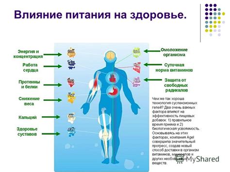 Влияние дефицитных компонентов в гусиной эпидермисе на организм