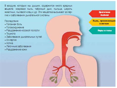 Влияние загрязнения воздуха на здоровье человека