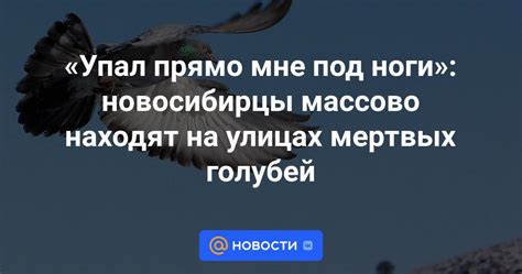 Влияние медицинских состояний на падение голубей на ноги