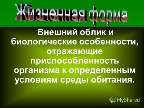 Влияние наследственности на наш внешний облик и состояние организма