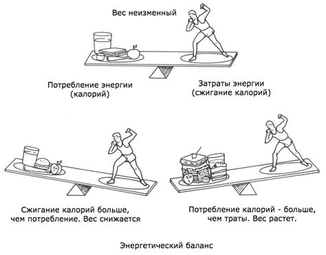 Влияние на энергетический баланс и физическую активность