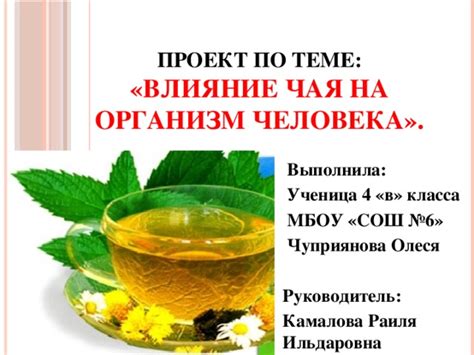 Влияние особого чая на функционирование организма