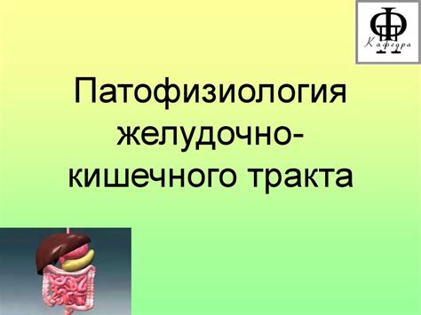 Влияние паразитической формы Entamoeba на функционирование желудочно-кишечного тракта