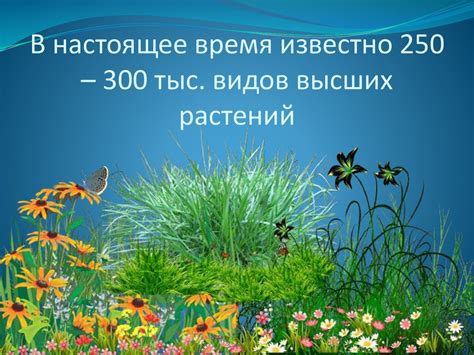 Влияние пламени на растительный покров лесной местности